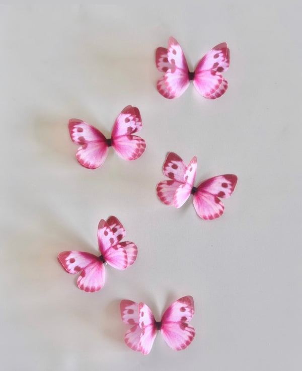 Exotic Silk Butterfly Flutters