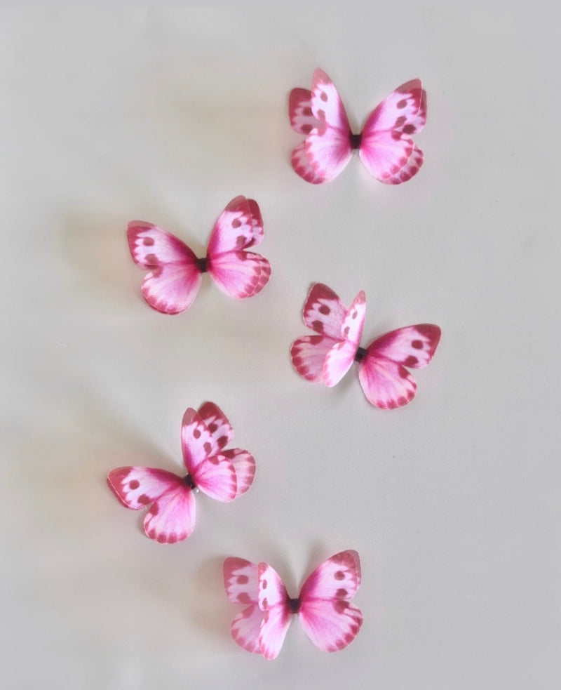 Exotic Silk Butterfly Flutters