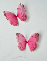 Silk butterfly flutters  nursery room decor butterflies littledreamersinteriors