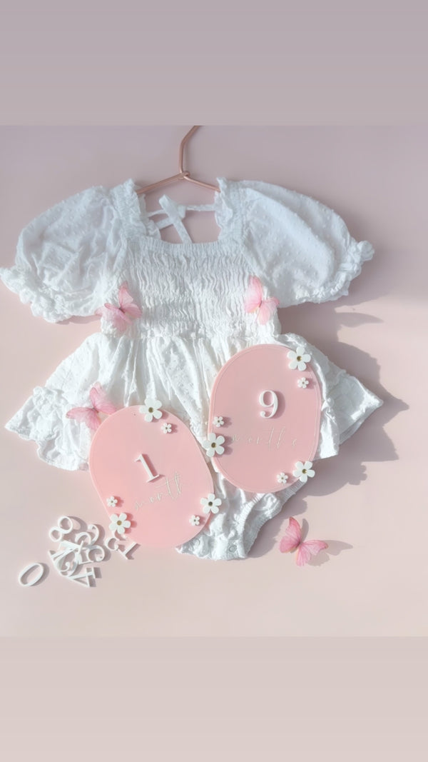 Daisy Flower Interchangeable Baby Milestone Plaques – Monthly Photo Set | Little Dreamers Interiors