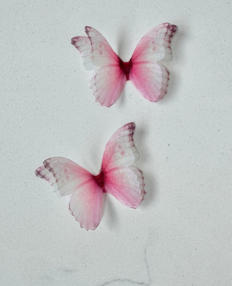 Sandy Pink Butterfly