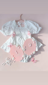 Daisy Flower Interchangeable Baby Milestone Plaques – Monthly Photo Set | Little Dreamers Interiors - littledreamersinteriors