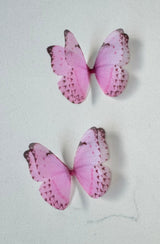 Silk butterfly flutters  nursery room decor butterflies littledreamersinteriors