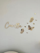 3D Double Layer Acrylic  Butterflies
