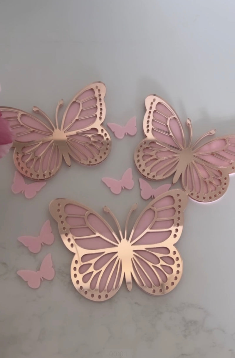 3D Double Layer Acrylic  Butterflies