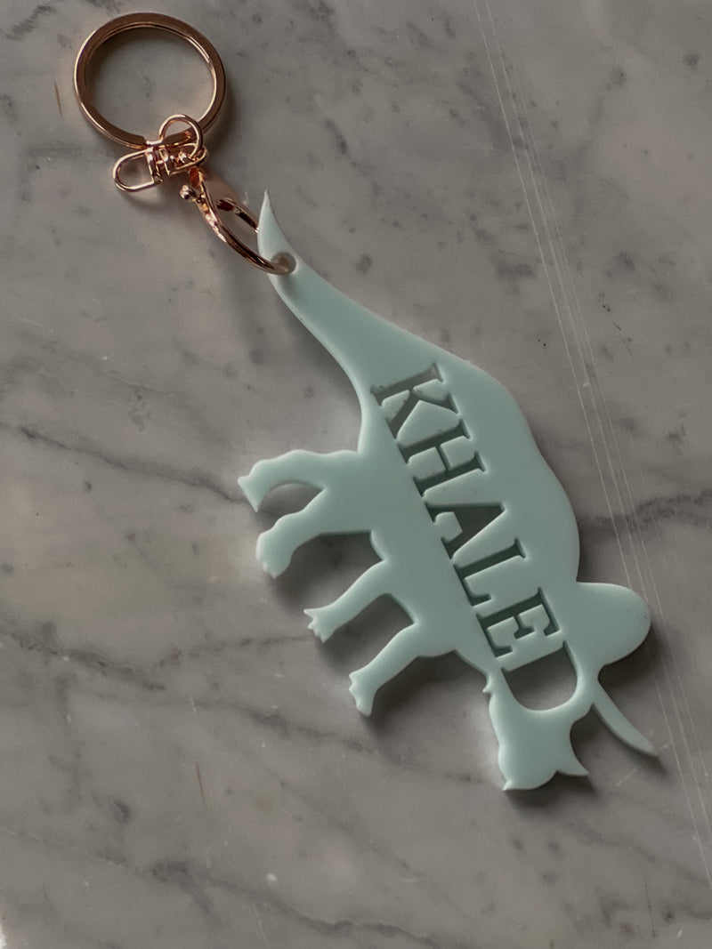 Dino Key Ring - littledreamersinteriors