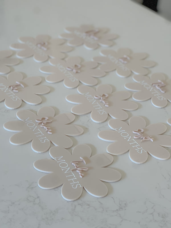 Daisy Milestone Discs 12PK - littledreamersinteriors