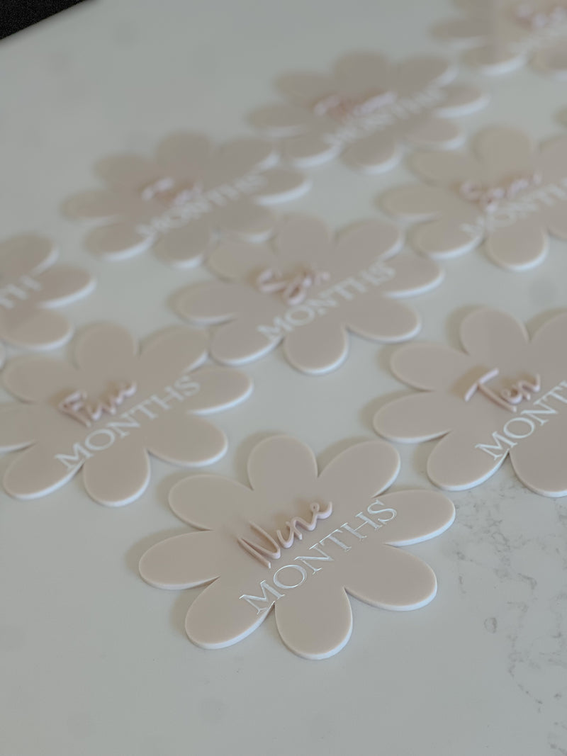 Daisy Milestone Discs 12PK - littledreamersinteriors
